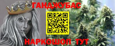 apvp Славгород