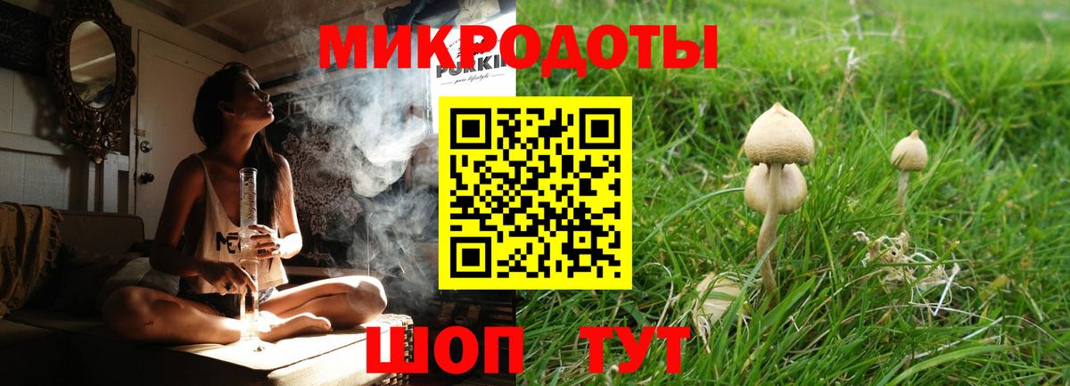 Сосновый Бор  Галлюциногенные грибы мухоморы  Вход с VPN 