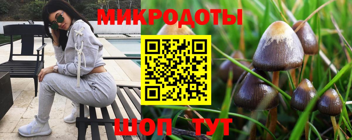 Галлюциногенные грибы MAGIC MUSHROOMS Сосновый Бор